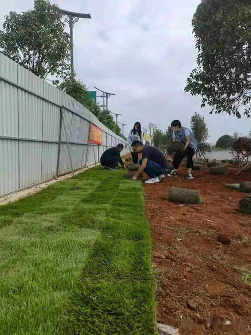 黨建引領辦實事，綠化機場路更美——市交管處黨支部開展主題黨日活動