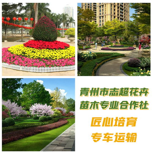 城市綠化建設與管理的生態(tài)哲學 從“大量供應”到“可持續(xù)發(fā)展”